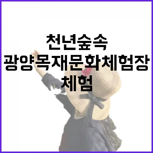 천년 숲속 광양목재문화체험장 힐링 체험