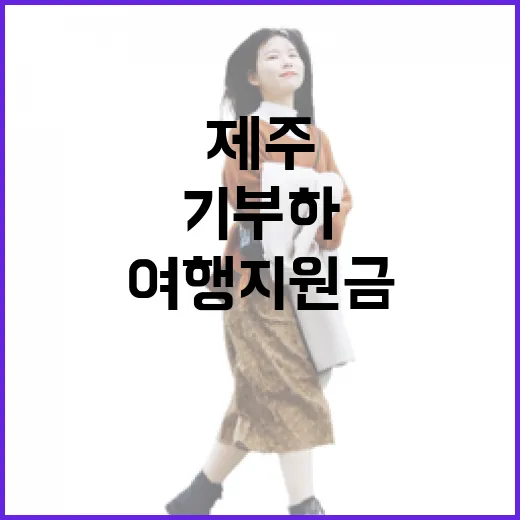 제주 기부하면 여행지원금 쏜다
