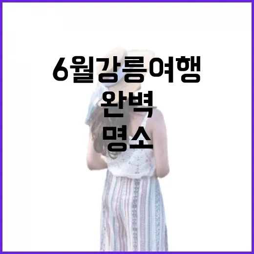 6월 강릉 여행 명소 완벽 가이드