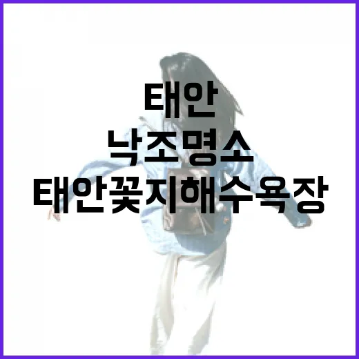 태안 꽃지해수욕장 낙조 명소 완벽 가이드