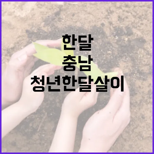 충남 청년 한달살이, 새로운 삶의 기회