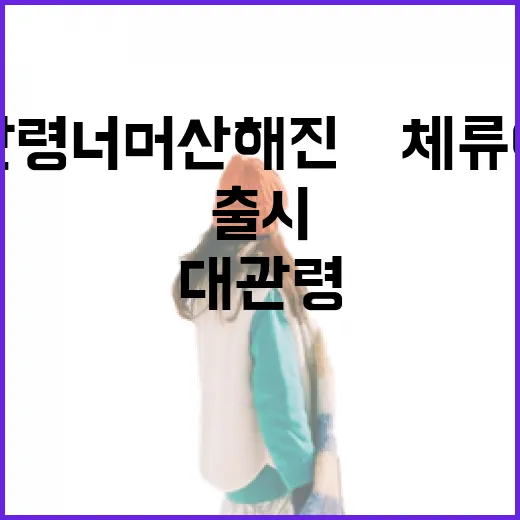 대관령 너머 산해진美 체류여행 출시