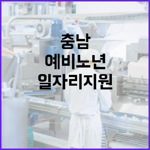 50대 이상 맞춤형 충남 예비노년 일자리 지원