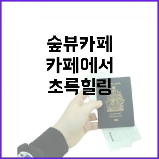 충남 숲뷰 카페에서 만나는 초록 힐링
