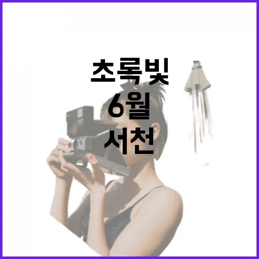 초록빛 서천 6월 여행 명소 5선