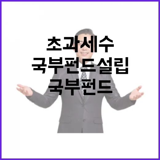 초과세수 활용과 국부펀드 설립 현황