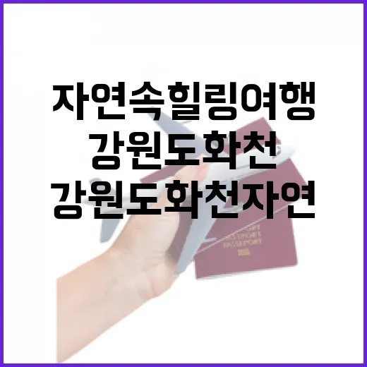 6월 강원도 화천 자연 속 힐링 여행
