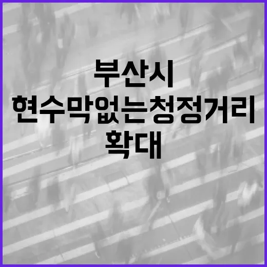 부산시, 현수막 없는 청정거리 31곳으로 확대