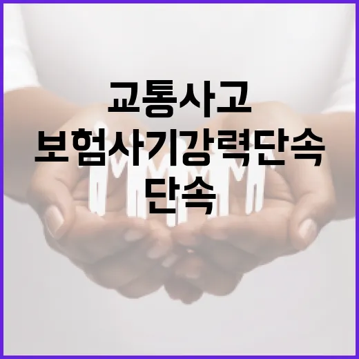 고의 교통사고·보험사기 강력 단속 예고