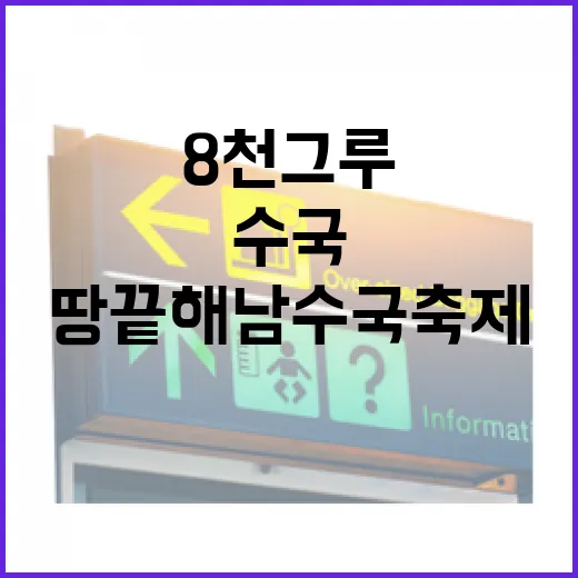 땅끝해남 수국축제, 8천 그루 꽃의 향연