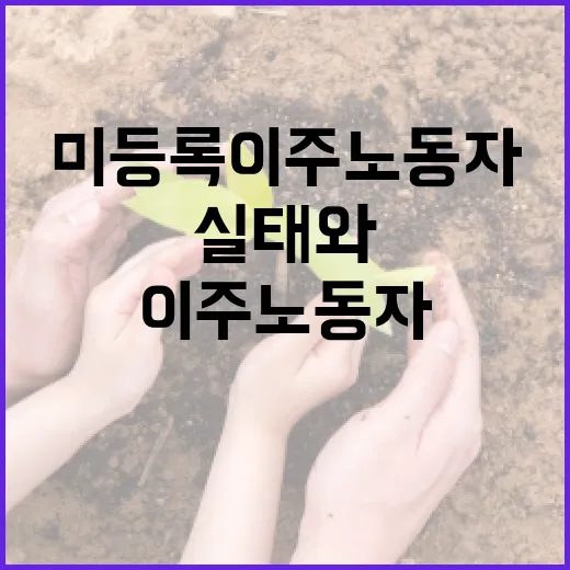미등록 이주노동자 40만명 실태와 정부 검토 현황
