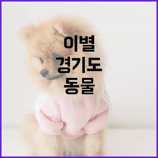 경기도 반려마루 추모관, 반려동물 이별의 따뜻한 동행