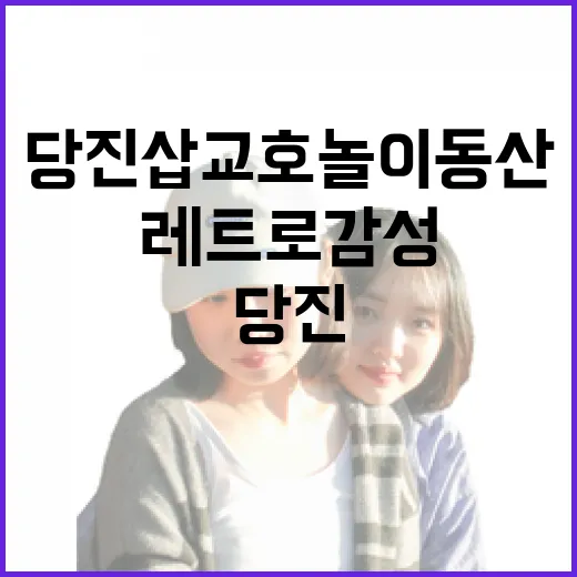 당진 삽교호 놀이동산, 밤의 레트로 감성 명소