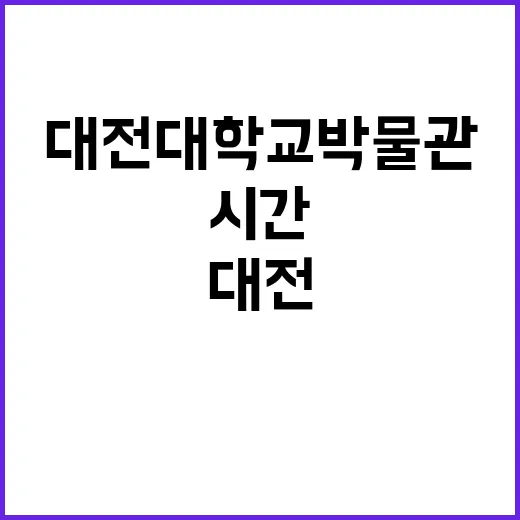 대전대학교 박물관에서 만나는 시간의 이야기