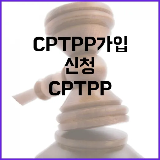 CPTPP 가입 신청, 아직 결정된 바 없다