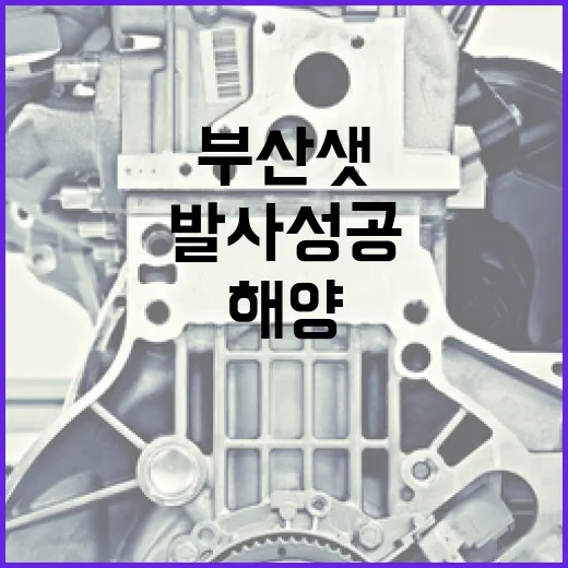 부산, 해양우주 시대 선도하는 부산샛 발사 성공