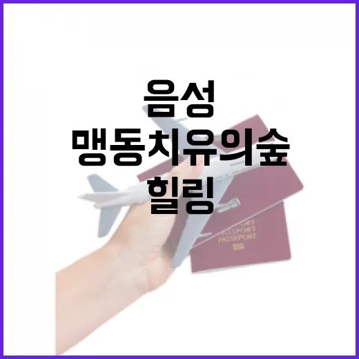 음성 맹동 치유의숲, 자연과 힐링의 만남