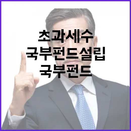 초과세수 활용과 국부펀드 설립, 아직 결정 안 돼