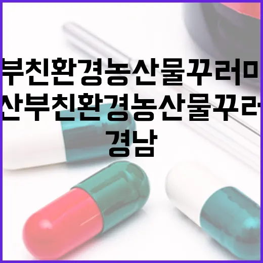 경남 임산부 친환경농산물 꾸러미 지원 시작