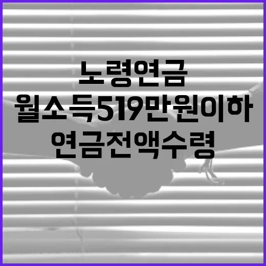 월소득 519만 원 이하 노령연금 전액 수령 가능