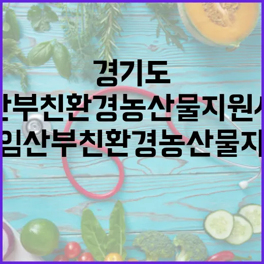 경기도 임산부 친환경 농산물 지원사업 시작
