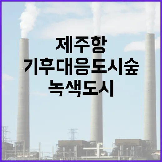 제주항 기후대응 도시숲 완성, 녹색도시 실현