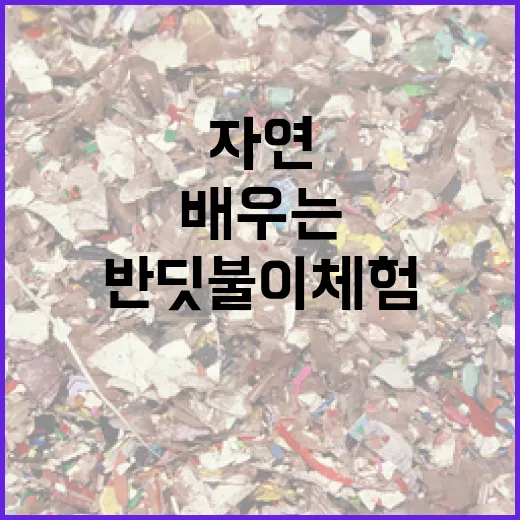 반딧불이 체험으로 배우는 자연의 가치