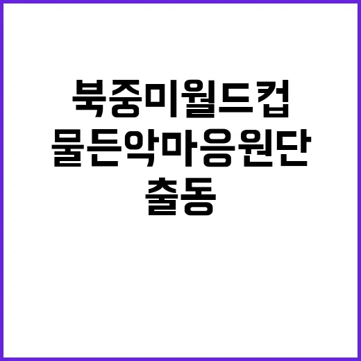 물든악마 응원단, 북중미 월드컵 광화문 응원 현장 출동