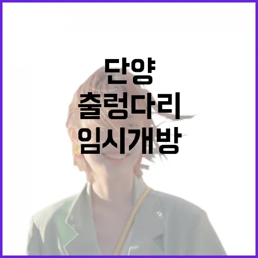 단양 시루섬 생태탐방교, 기적의 출렁다리 임시개방