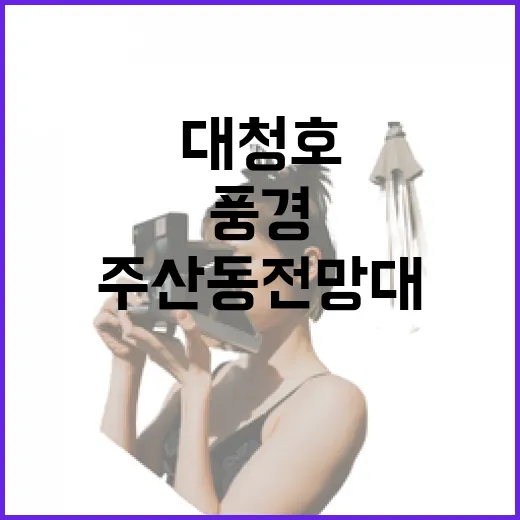대청호 주산동전망대의 초여름 풍경 산책