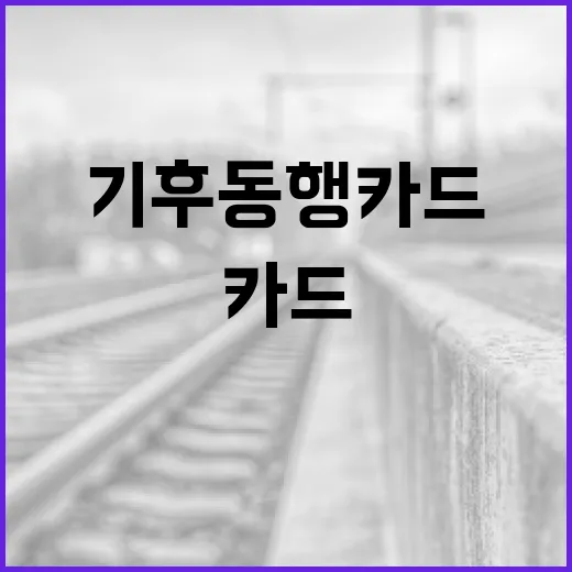 모두의카드·기후동행카드 통합설 해명