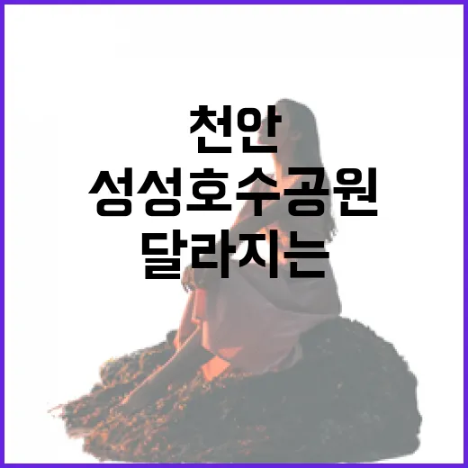 천안 성성호수공원, 밤이 되면 달라지는 매력