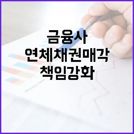 금융사, 연체채권 매각 후에도 고객보호 책임 강화