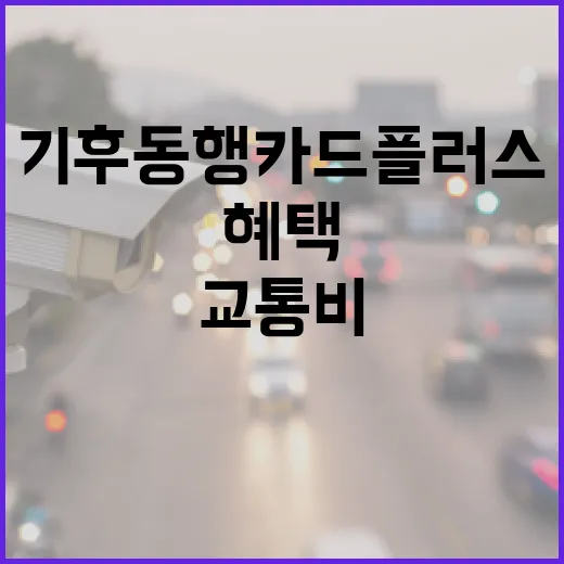 기후동행카드 플러스, 교통비 혜택 혁신