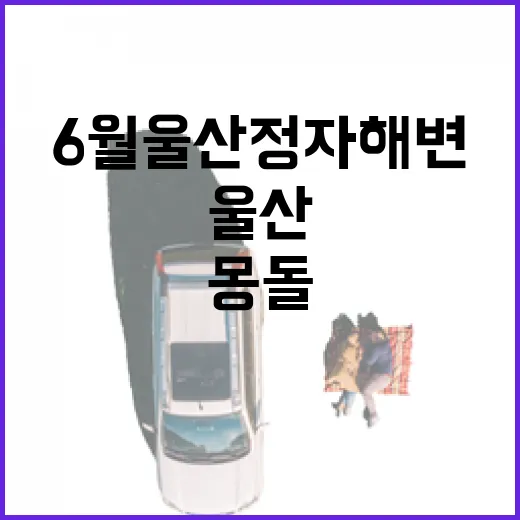 6월 울산 정자해변, 몽돌과 파도의 조용한 노래