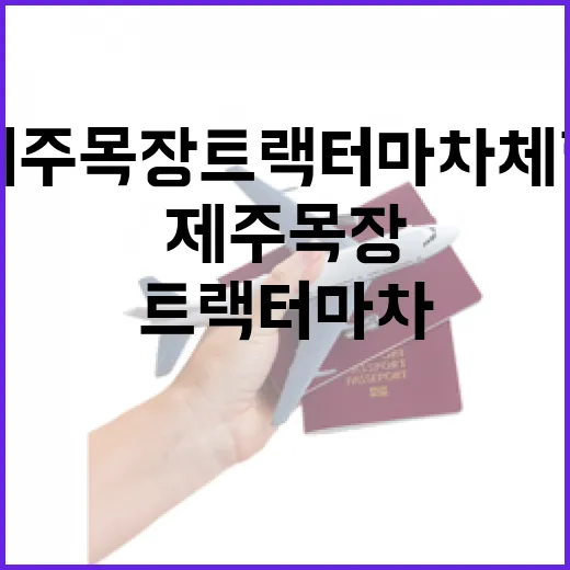 제주목장 트랙터마차 체험 완벽 가이드