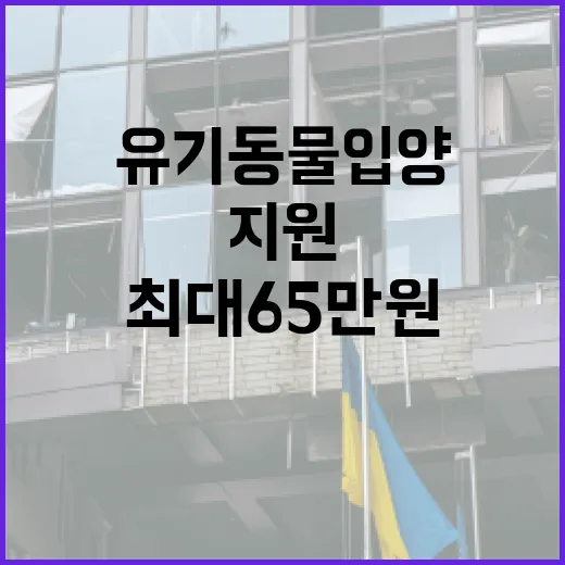 경남, 유기동물 입양 최대 65만원 지원 확대