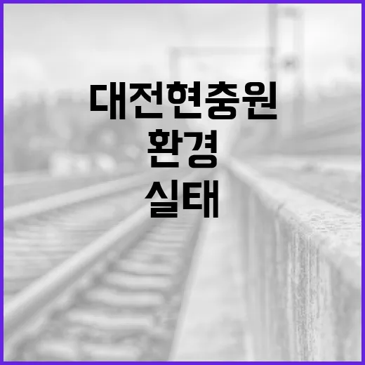 대전현충원 환경실무관 운영 실태 바로잡기