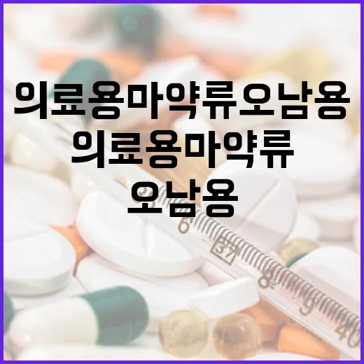 의료용 마약류 오남용 엄단 강화