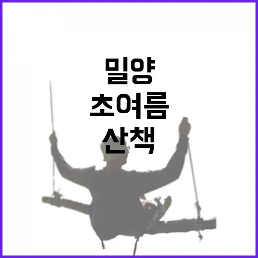 초여름 밀양 삼문동 수변공원 양귀비꽃 산책