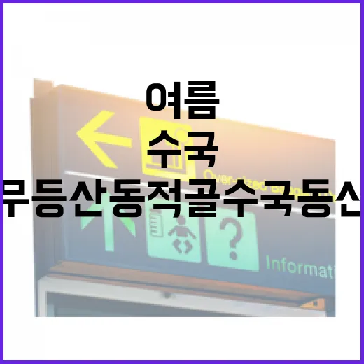 무등산 동적골 수국동산, 여름의 보석