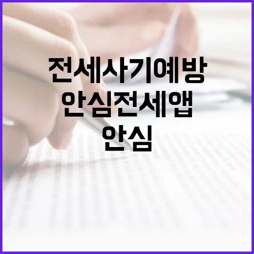 전세사기 예방, 안심전세앱 9월 출시