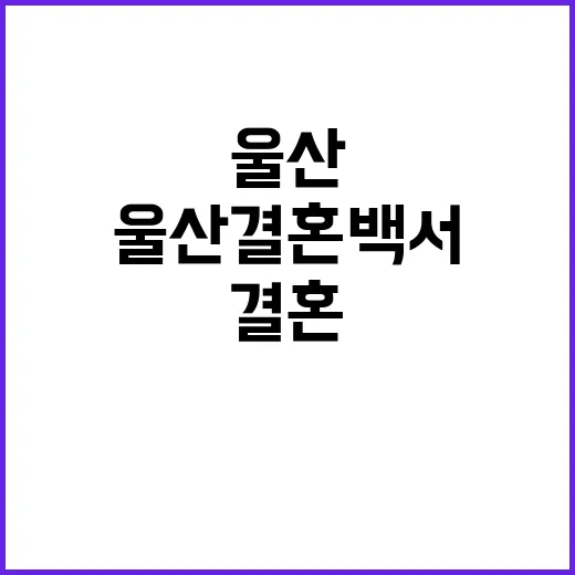 울산 결혼백서, 세대 공감 전시