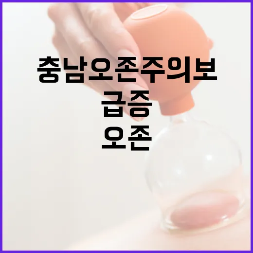 충남 오존주의보 급증, 안전 대처법 안내