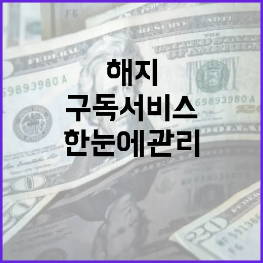 구독 서비스 한눈에 관리, 해지 간편화 추진