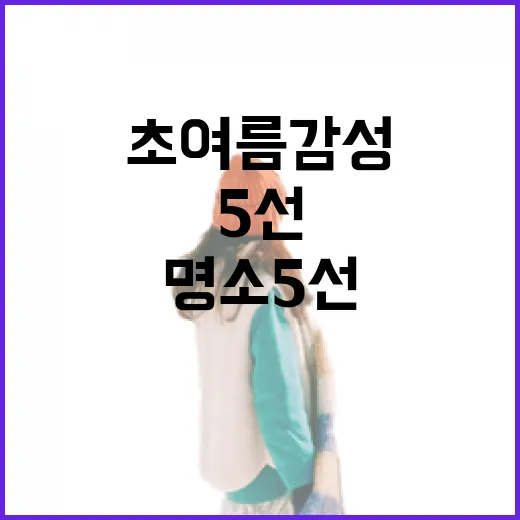 광주 초여름 감성 명소 5선