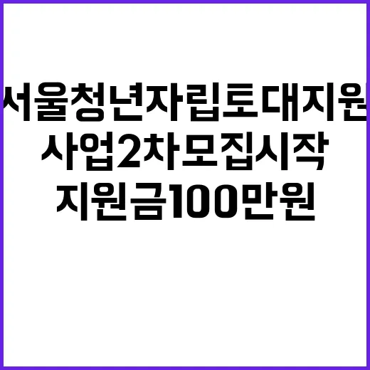 서울 청년 자립토대지원금 100만 원 지원사업 2차 모집 시작