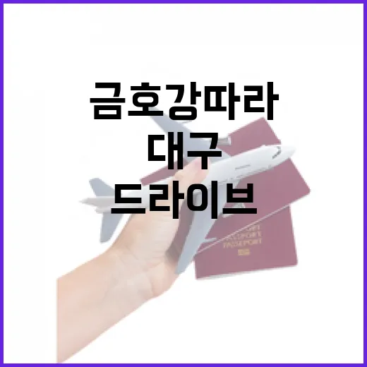 금호강 따라 즐기는 대구 강변 드라이브