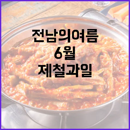 전남의 여름, 6월 제철 과일 맛보기