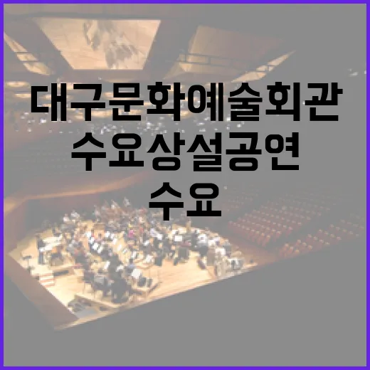 대구문화예술회관 수요상설공연, 일상 속 문화 쉼터